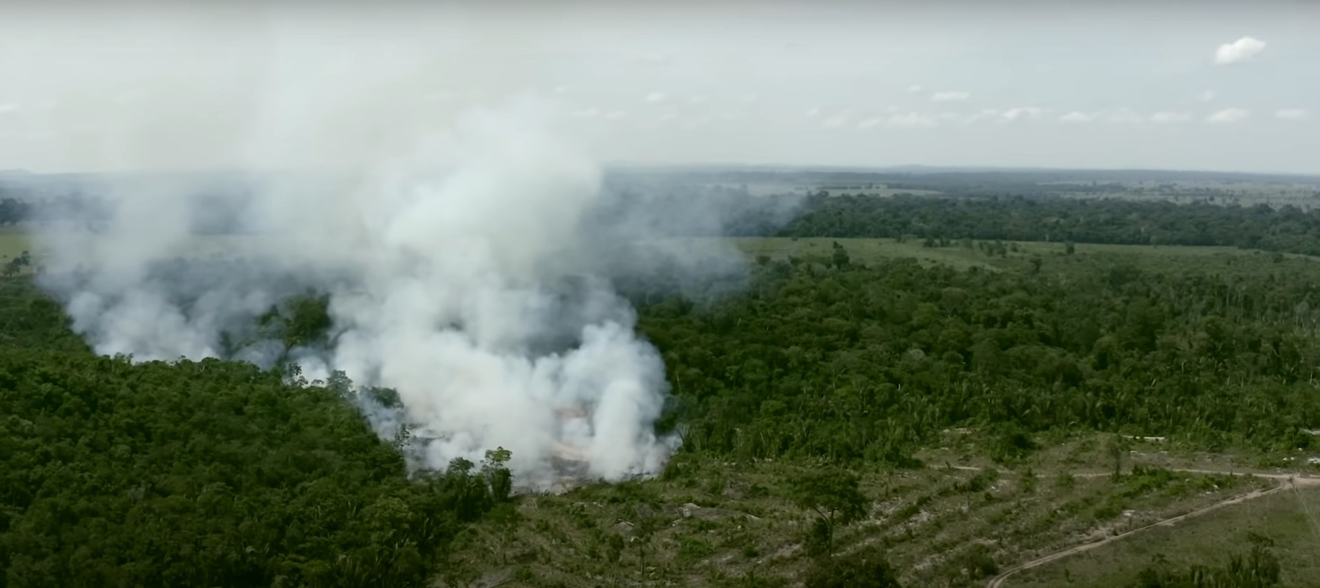 Investigação apresenta venda ilegal de terras da Amazônia no Facebook