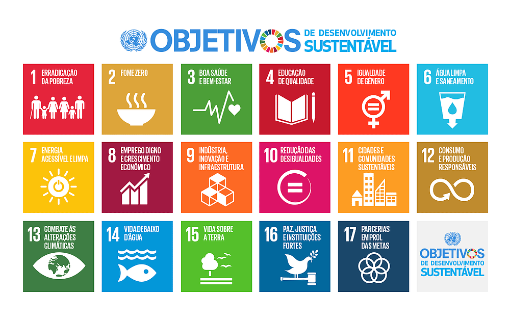 Os 17 ODS presentes na Agenda 2030. 