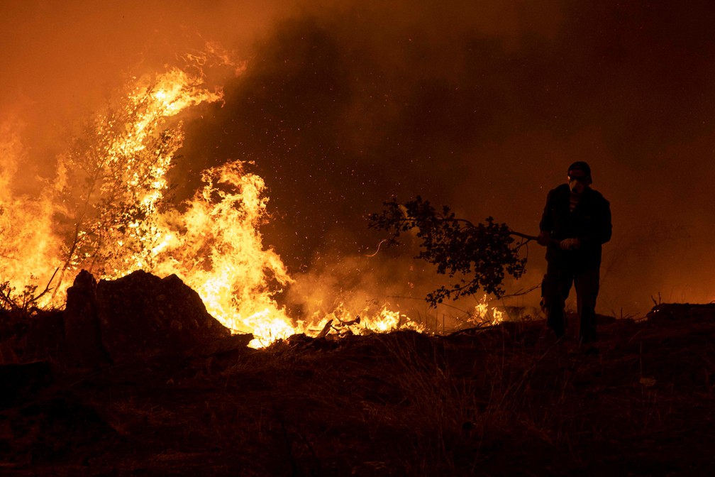 Verão extremo na Europa: incêndio de florestas e ilhas