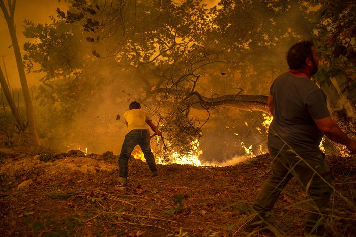 Dois homens em uma floresta que pega fogo.